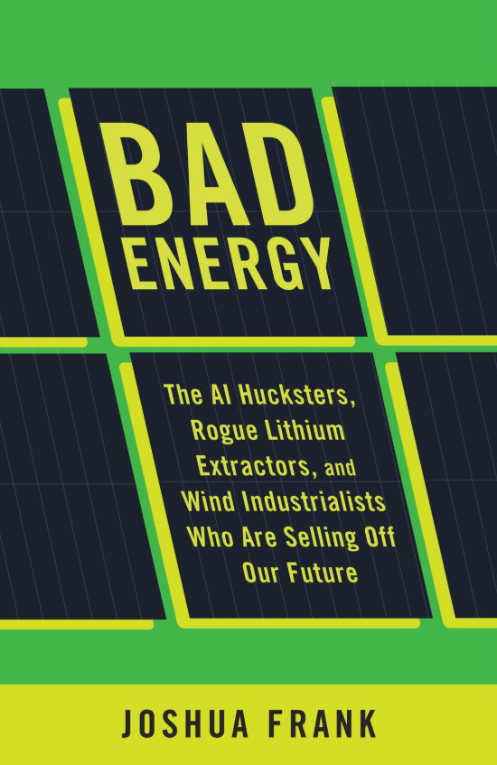 Bad Energy: The AI Hucksters, Rogue Lithium Extractors, and Wind Industrialists Who Are Selling Off Our Future