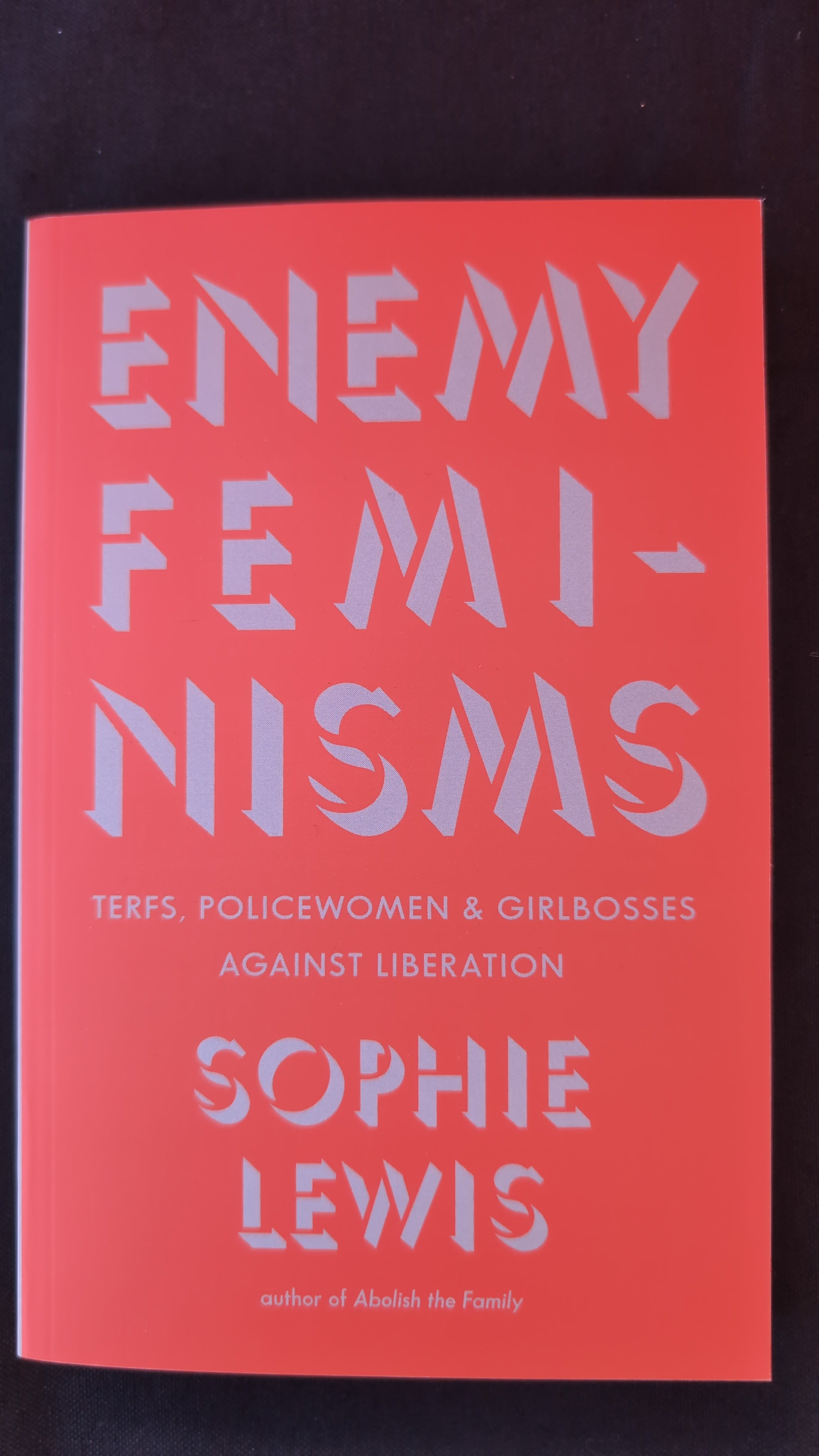 Enemy Feminisms